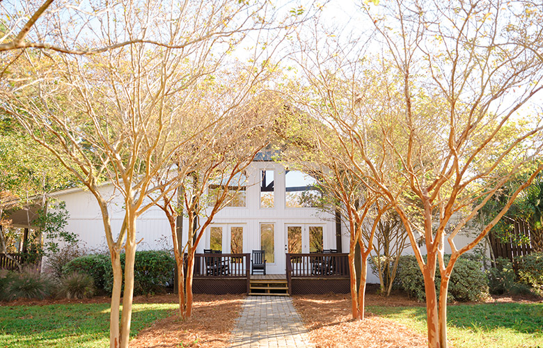 Exterior walkway lines with trees leading to a nice building